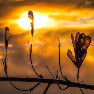 Listen to Sunrise song with lyrics from Andy Lange