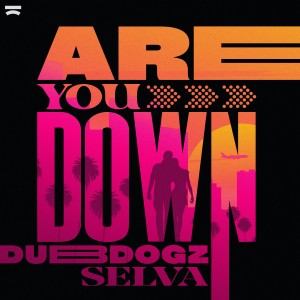 Dubdogz的專輯Are You Down