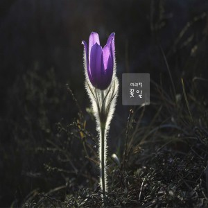 Listen to 너는 나의 봄이다 song with lyrics from Mmiribyul