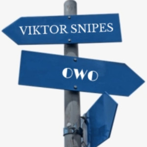 Album Owo (Explicit) from Viktor Snipes