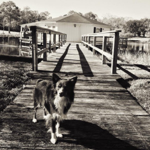 收听Wild Fire的Earned It歌词歌曲