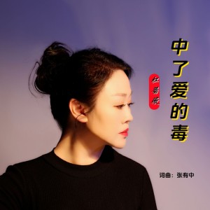 Listen to 中了爱的毒（DJ版） (伴奏) song with lyrics from 张有中