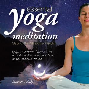 收聽Susan Ni Rahilly的Rising Above歌詞歌曲