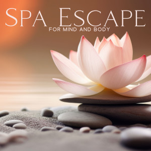 Tranquility Spa Universe的专辑Spa Escape for Mind and Body (Zen Heaven, Renew Your Spirit)