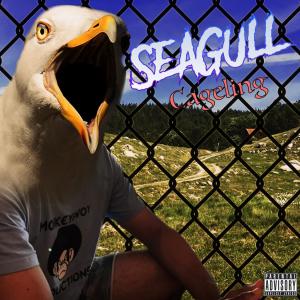 Listen to Make Sure(feat. MC. Lyrical STD & Jah Samson) (Explicit) song with lyrics from Seagull