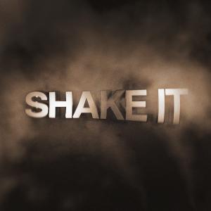 ดาวน์โหลดและฟังเพลง Shake It พร้อมเนื้อเพลงจาก Slater Manzo