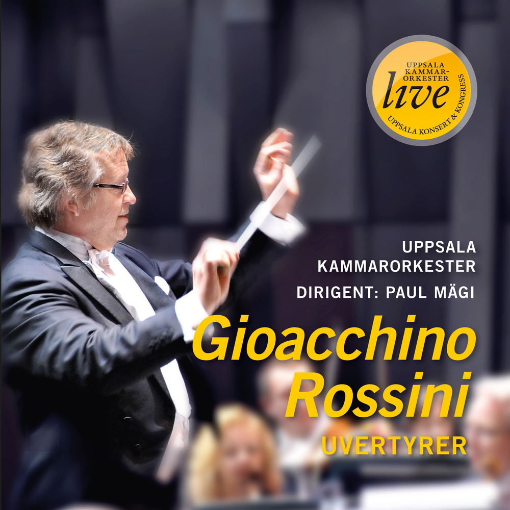 Il turco in Italia: Overture