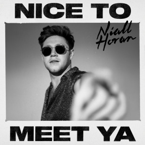 ดาวน์โหลดและฟังเพลง Nice To Meet Ya พร้อมเนื้อเพลงจาก Niall Horan