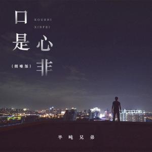 ดาวน์โหลดและฟังเพลง 口是心非 (烟嗓版) พร้อมเนื้อเพลงจาก ดารานักร้องหลายคน