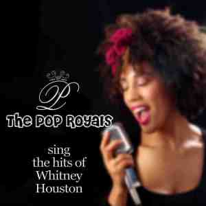 Album The Hits Of Whitney Houston oleh The Pop Royals