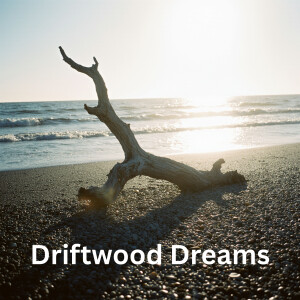 Mark Taylor的專輯Driftwood Dreams