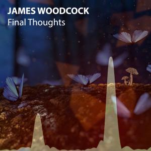 收聽James Woodcock的Final Thoughts歌詞歌曲