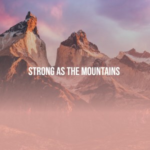 Various Artists的專輯Strong as the Mountains