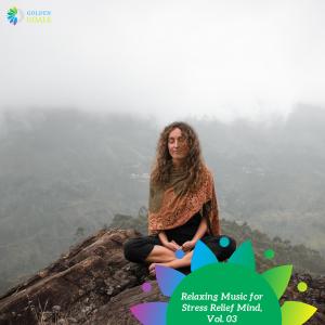 Various Artists的專輯Relaxing Music for Stress Relief Mind, Vol. 03