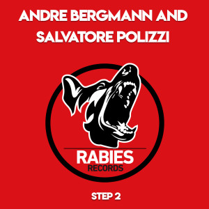 Listen to Step 2 song with lyrics from Andre Bergmann