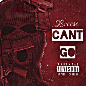 Album Can't Go (Explicit) from Breese