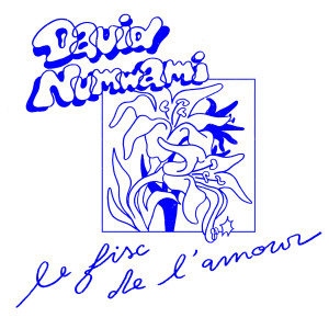 Album Le fisc de l'amour from David Numwami