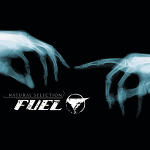 ดาวน์โหลดและฟังเพลง Down Inside Of You (Album Version) พร้อมเนื้อเพลงจาก Fuel
