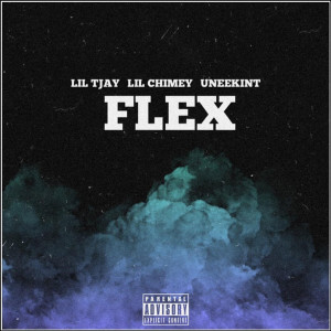 Listen to FLEX (Explicit) song with lyrics from Uneekint