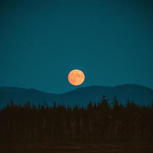 Listen to Tonight(feat. Pukem) song with lyrics from Julián Aponte
