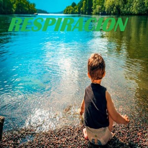 Dengarkan Pieles lagu dari Meditación dengan lirik