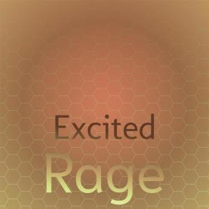 Various Artists的專輯Excited Rage