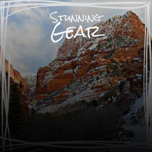 Various Artists的專輯Stunning Gear