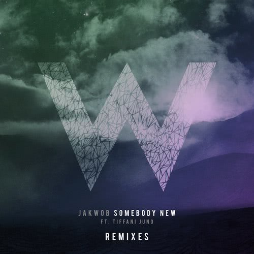 Somebody New (TCTS Remix)