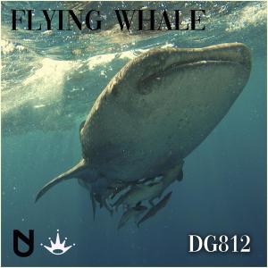 ดาวน์โหลดและฟังเพลง Flying Whale พร้อมเนื้อเพลงจาก DG812