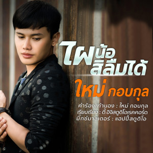 ดาวน์โหลดและฟังเพลง ไผน้อสิลืมได้ พร้อมเนื้อเพลงจาก ใหม่ กอบกุล