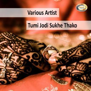 Listen to Sukh Chaile song with lyrics from Khalid Hasan Milu