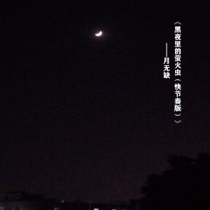 收听月无缺的黑夜里的萤火虫（快节奏版） (伴奏)歌词歌曲