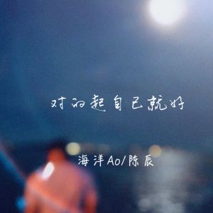 Listen to 对得起自己就好 song with lyrics from 海洋Ao