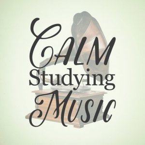 Study Music Orchestra的專輯Calm Studying Music