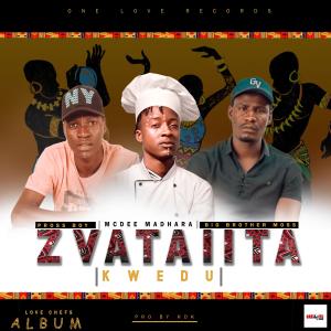 Listen to Zvataiita kwedu song with lyrics from Mcdee Madhara