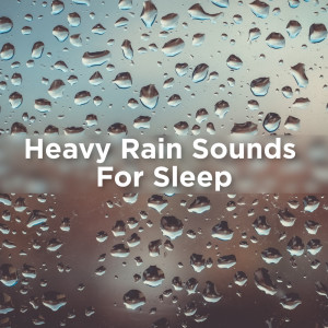 ดาวน์โหลดและฟังเพลง Relaxing Light Raindrops พร้อมเนื้อเพลงจาก Rain Sounds
