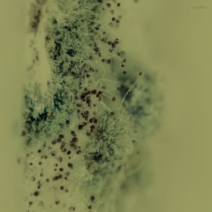 收听Camoflash的Duty Time (Dan Rubell Remix)歌词歌曲