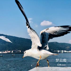 Dengarkan Meng Yun Na (伴奏) lagu dari 石寅 dengan lirik