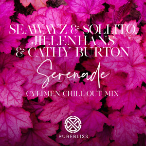 收聽Seawayz & Sollito的Serenade (Cylimen Chill Out Remix)歌詞歌曲