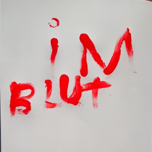 SILK MOB的专辑Im Blut