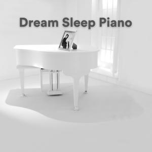 Various Artists的專輯Dream Piano