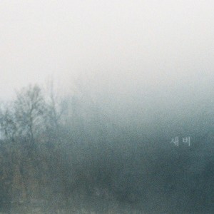 Listen to Dawn song with lyrics from 섬