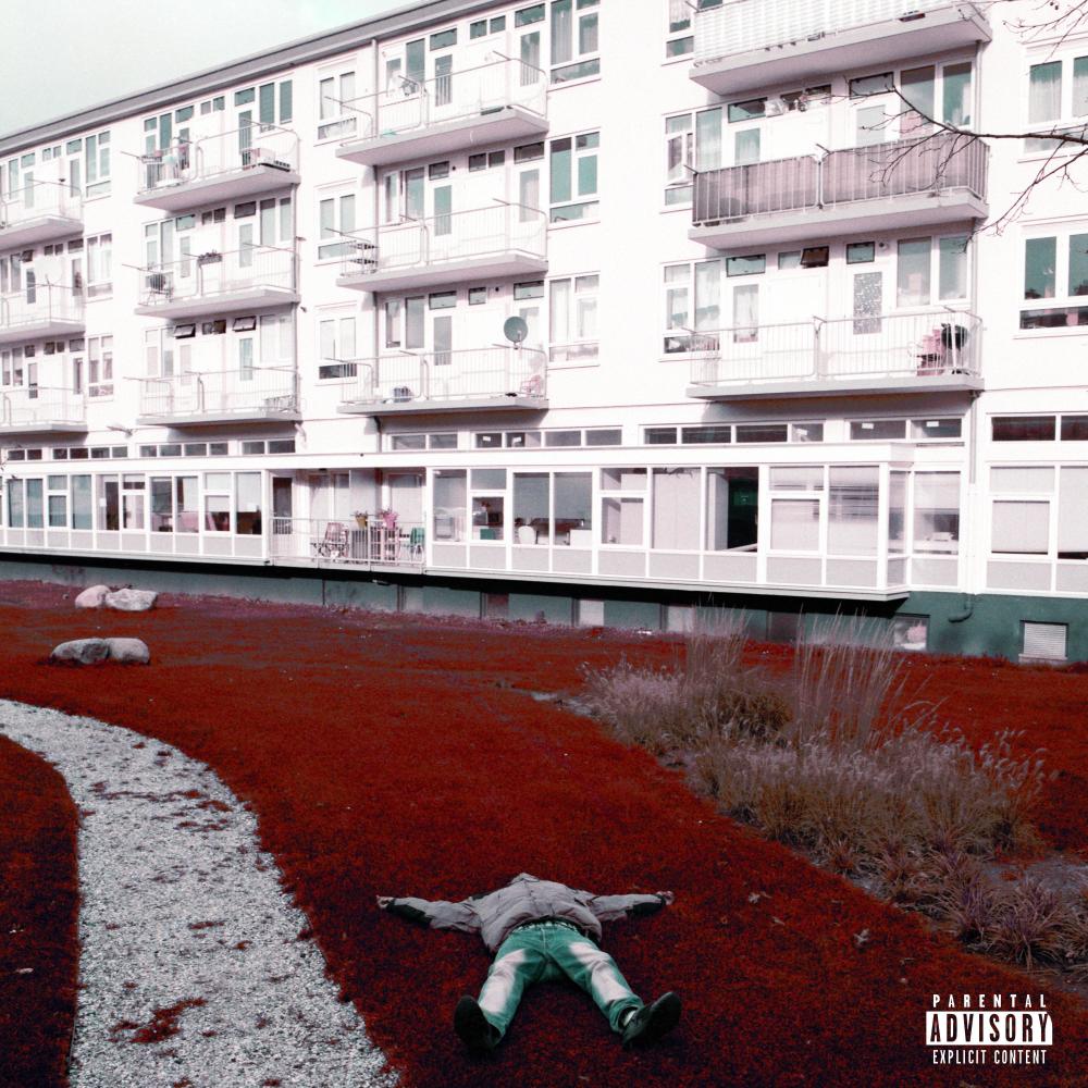 Koninkrijk (feat. Nelcon & Brunzyn) (Explicit)
