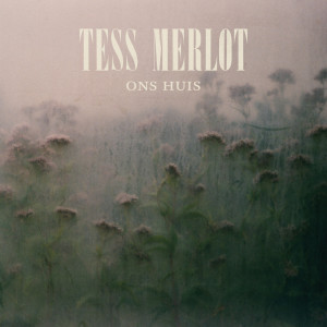 Album Ons huis from Tess Merlot
