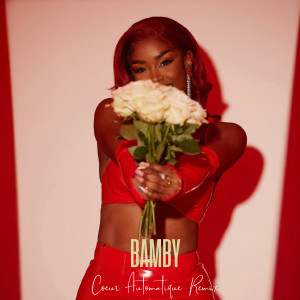 Album Coeur Automatique (Remix by Dj FaFi) from Bamby