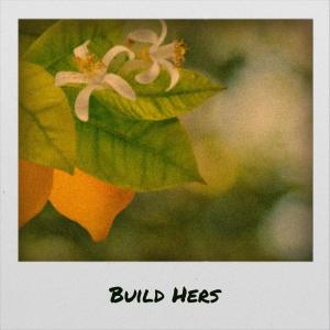 Album Build Hers from Various