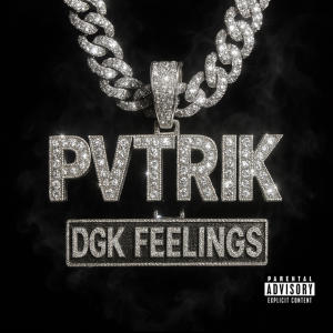 收聽PVTRIK的FAVELA (feat. RVR & DeniZero11) (Explicit)歌詞歌曲