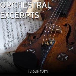 Orchestral excerpts - I violin tutti dari Maksym Filatov