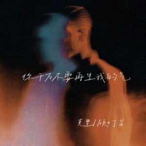 Listen to 你千万不要再生我的气 song with lyrics from 顾叮当