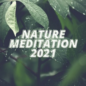 Album Nature Meditation 2021 from Various